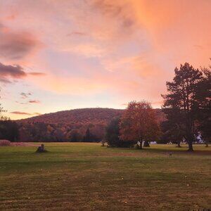 Meet your Posher, Paul